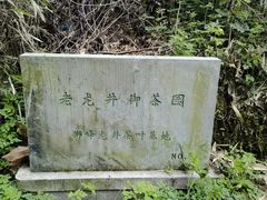 -十八棵（老龙井）御茶园(老龙井店)