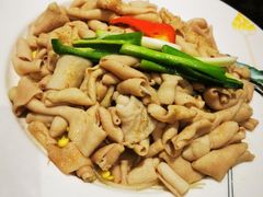 -优之名鹅城