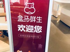 门面-盒马鲜生(岭南新世界店)