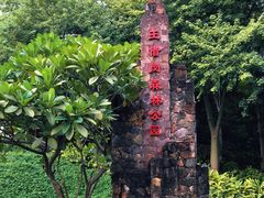 -王借岗森林公园