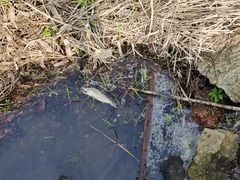 -东钱湖旅游度假区