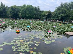 -白马涧龙池景区