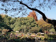 -杭州植物园