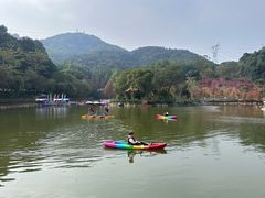 -广州市帽峰山景区