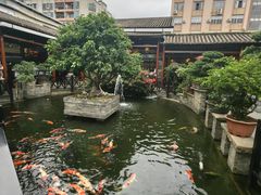 -猪肉婆私房菜(容桂总店)