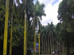 android_upload_pic-湖光岩风景区