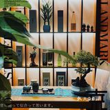 居酒屋中的轻奢品！平价的高级！
