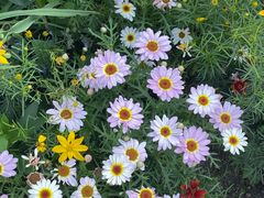 -瑞幸咖啡(国际珠宝交易中心店)