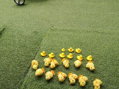 -乐融婴幼儿成长中心(四季青校区)
