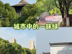 -八大山人梅湖景区