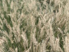 -中国天府农业博览园