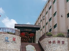 -广州神农草堂中医药博物馆