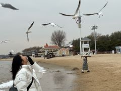 -老虎石海上公园