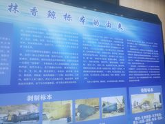 -上海海洋大学鱼文化博物馆(军工路校区)