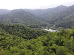 -石浦大酒店(百丈店)