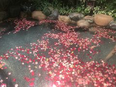 -厦门日月谷温泉渡假村