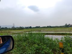 -洲心街道青联村镜记烧肉