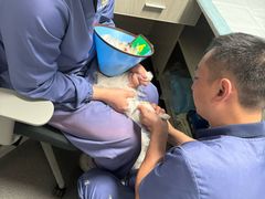 -半岛宠物医院24小时(科华中路店)