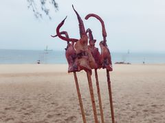-玫瑰海岸文化旅游度假区