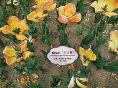 -江南大学(蠡湖校区)