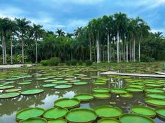 -中国科学院西双版纳热带植物园