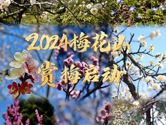 -梅花山(明孝陵内)