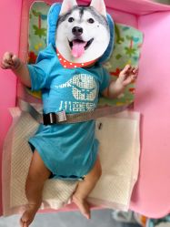 -小蓝象(五角场万达店)