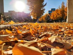 -钜成口腔(师范大学一部店)
