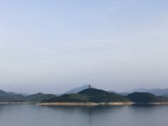 -望湖烤鱼