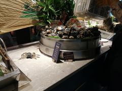 -五月罗马海鲜自助餐厅(陆家嘴店)