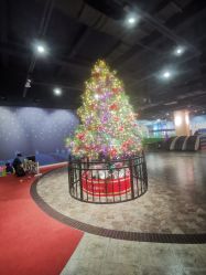 -幻贝家儿童乐园(温州银泰城店)