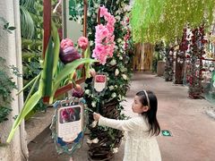 -正佳雨林生态植物园
