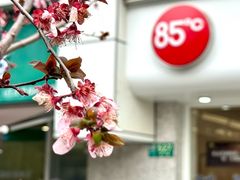 -85度C(生甜甜圈研究工坊·上海局门店)