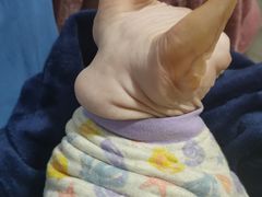 -美联众合宠物医院·爱萌分院·内外科·猫科中心