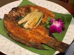 香茅草烤罗非鱼-紫滇源云南生态菜(丹凤街店)