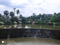 -枫香湖儿童公园