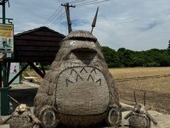-嘉北郊野公园
