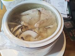 -大鸽饭(岗顶店)