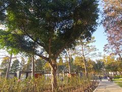 -顺峰山公园