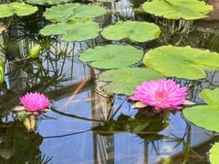 -国家植物园南园