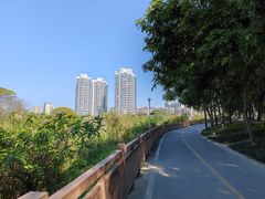 -广东花都湖国家湿地公园