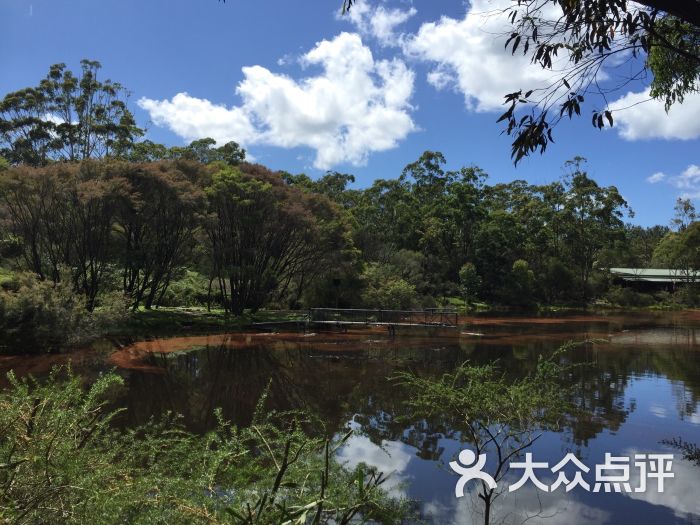 australian reptile park图片 - 第17张