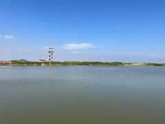 -乌梁素海景区