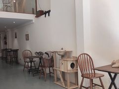 -猫友咖啡店(玉林西路店)