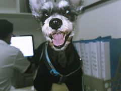 -安安宠医·安宠宠物医院