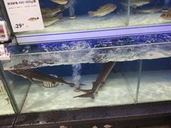 水产区-盒马鲜生(联投广场店)