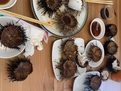 -海胆小馆(东北水饺·春柳店)