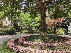 点击看大图 -莲生母婴月子中心(清水河公园店)