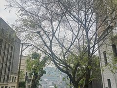 -白象居