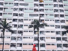 -彩虹村